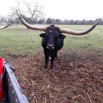 Profile Picture of Ronald Batts (@pawpawbatts57) on Instagram