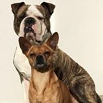 Peter Eggers - Instagram Profile Picture of Peter Eggers (@peter.eggers.16) on Instagram