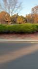 Profile Picture of   Bradley.madsen... (@bradley.madsen1) on Tiktok