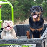 Profile Picture of Tanner Morse (@tannerbob88) on Instagram