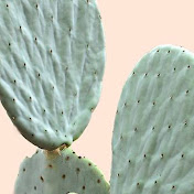 Profile Picture of Savannah Ryan (@savannahryan3323) on Youtube