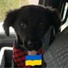 Profile Picture of jennifergoodstein (@jennifergoodstein) on Tiktok