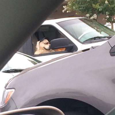 Profile Picture of Dan Gilmer Jr (@danielgilmer) on Twitter