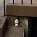 Profile Picture of Peter Pastorek (@peterpastorek) on Pinterest