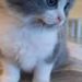 Profile Picture of KEVIN SUMLER (@krs1342) on Pinterest