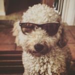 Profile Picture of Thomas Coates (@thomas.8241) on Instagram