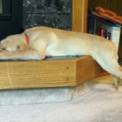 Profile Picture of John Smithers (@smithersjohn00) on Twitter