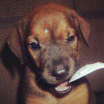 Profile Picture of Loren Bradley (@lorens.journey.1993) on Instagram