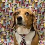 Profile Picture of Donna Reagan (@donnareagan1) on Instagram