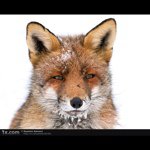 Profile Picture of brendan kasper (@brendan_kasper) on Instagram