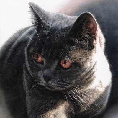 Profile Picture of JesseTu (@JesseTu6) on Twitter