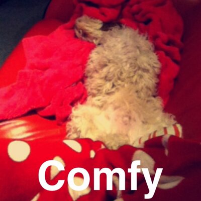 Profile Picture of Jess Edgington (@EdgingtonJess) on Twitter