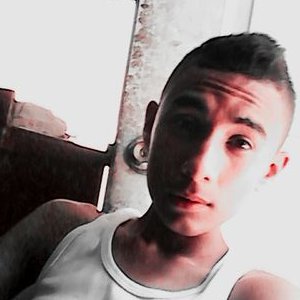 Profile Picture of Brian Alfredo Pavan (@brian_pavan) on Twitter