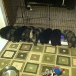 Profile Picture of April Hansen (@hansen1141) on Instagram