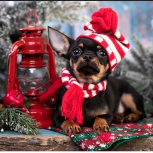 Profile Picture of Lawrence Reeves (@lawrencereeves_5199) on Tiktok