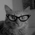 Profile Picture of John Nieve (@JohnNieve) on Twitter