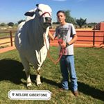 Profile Picture of Alan Bragga (@alanbragga13) on Instagram