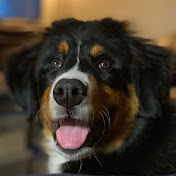 Profile Picture of Carl Hanson (@carlhanson1629) on Youtube