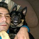 Profile Picture of Asim Yildiz (@zokka66) on Instagram