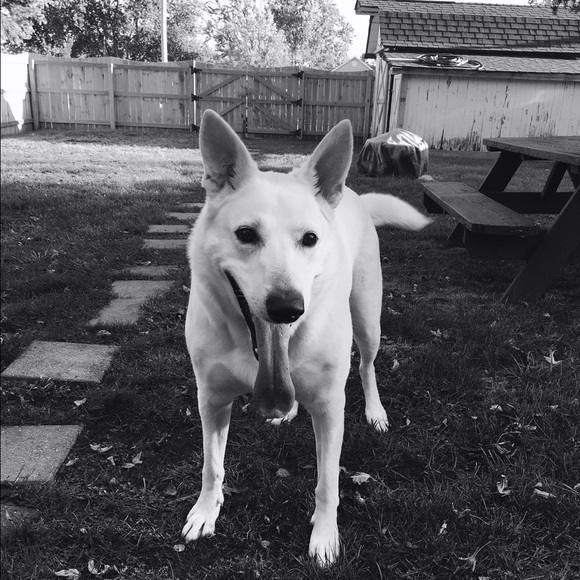 Profile Picture of Jenna Wilt (@jwilt41) on Poshmark