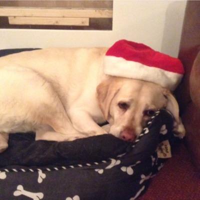 Profile Picture of Jacob Dooley (@Jacobdooley4) on Twitter