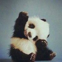 Profile Picture of Morgane Shoop (@morgane.shoop.1) on Facebook