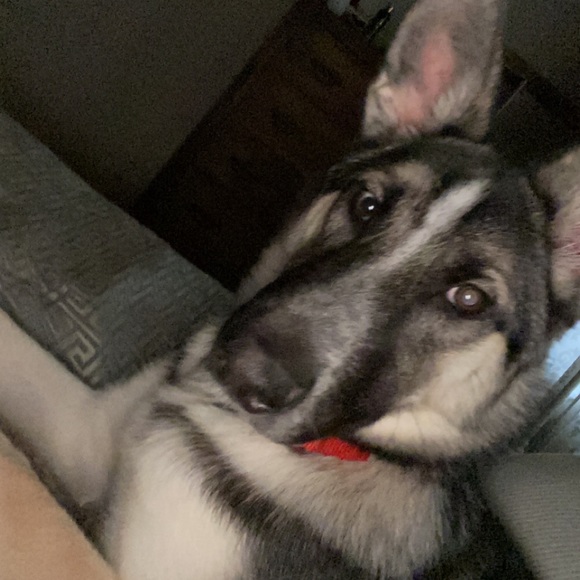 Profile Picture of Rogerio Tapia (@javier2k) on Poshmark