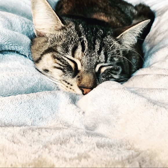 Profile Picture of Madeline Peglow (@mpeglow14) on Poshmark