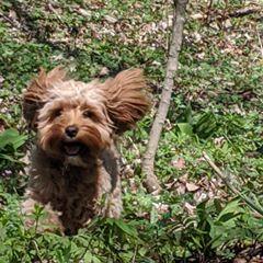 Profile Picture of Tammy Krys (@tammykrys) on Tiktok