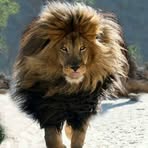 Profile Picture of Benjamin Calles (@benjamin.calles.695667) on Facebook