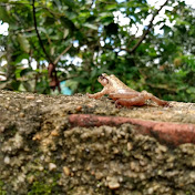 Profile Picture of Alberto Miguel (@AlbertoMiguel-n3c) on Youtube