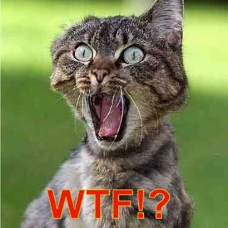 Profile Picture of Jimmy Rippetoe (@jimmy.rippetoe) on Facebook