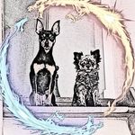 Profile Picture of Steven Ruff (@drachenruf) on Instagram