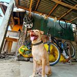 Profile Picture of Brent Kenneth C. Manalo (@hayk4nuto) on Instagram