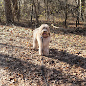 Profile Picture of James McElhenie (@jamesmcelhenie5265) on Youtube