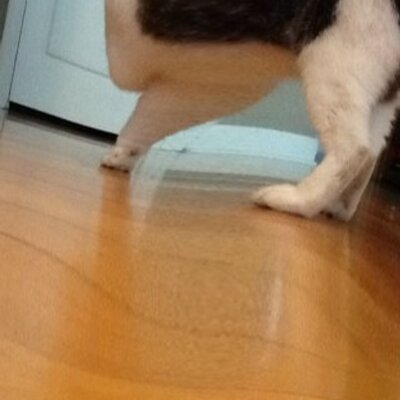 Profile Picture of Paul Tremblay (@paultremblay6) on Twitter