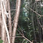 Profile Picture of Todd Roskey (@toddroskey) on Instagram