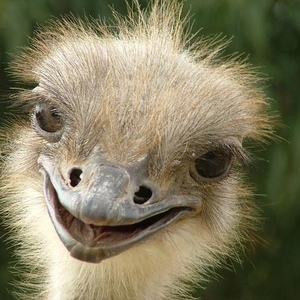 Profile Picture of Gabrielle Swanwick (@gabby_sue) on Myspace