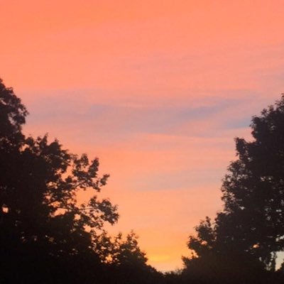 Profile Picture of Judy Mccoy (@jmccoy344) on Twitter