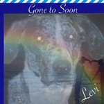 Profile Picture of Erin Whipkey (@erinwhipkey) on Instagram