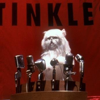 Profile Picture of Eric Rosenberg (@ericrosenberg59) on Twitter