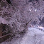 Profile Picture of Garcia (@garciaalberta252) on Instagram