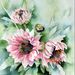 Profile Picture of ELLA KAPFHAMER (@28elkapfhamer) on Pinterest