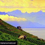 Profile Picture of Michele McElroy (@mcelroymichele) on Instagram