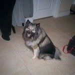 Profile Picture of Pepper Mccoy (@pepper.mccoy.54) on Facebook