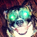 Profile Picture of David Kahn (@davidgkahn) on Instagram