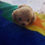 Profile Picture of DannyBurger (@dannyburger101) on Instagram
