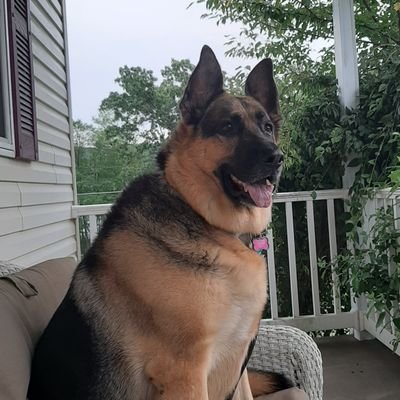 Jake Greenwald - Twitter Profile Picture of Jake Greenwald (@greenwald_jake) on Twitter