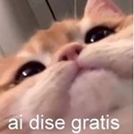 Profile Picture of Marcelo Riquelme Toledo 🦀 (@dromic_) on Instagram