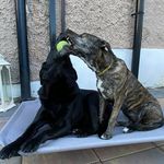 Profile Picture of Stephen McLoughlin (@stestemc) on Instagram